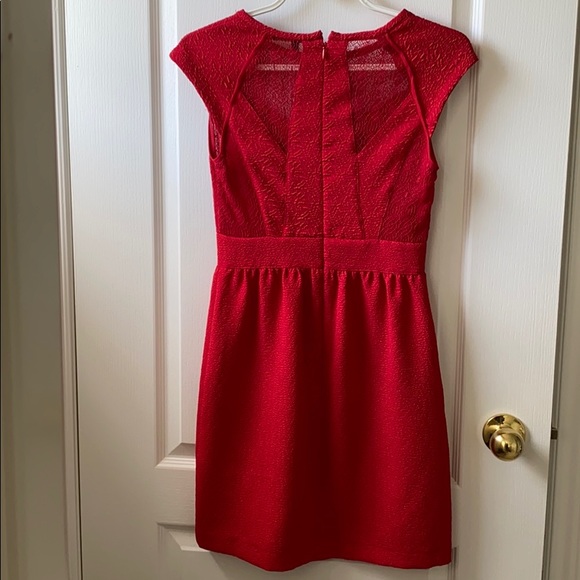 Women’s Dynamite Dress - Picture 2 of 2